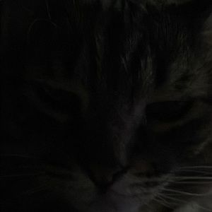 Meet your Posher, Wade